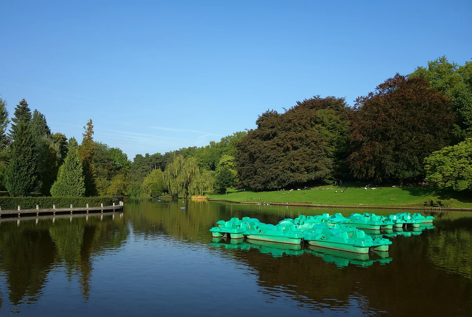 Plan d’eau et arbres du Parc Barbieux à Roubaix