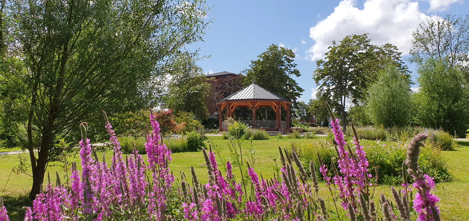 Le parc de Robersart à Wambrechies : étangs, jardins et horaires
