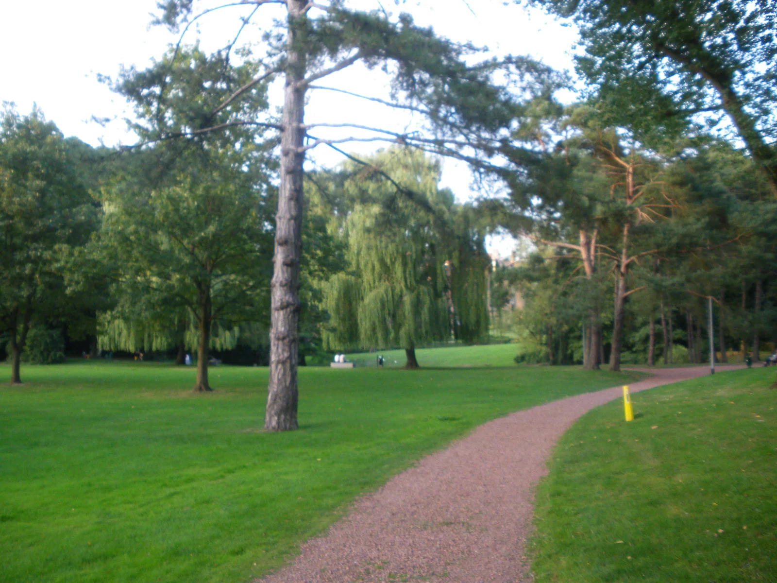 Le parc du Hautmont à Mouvaux : arbres, horaires et promenade
